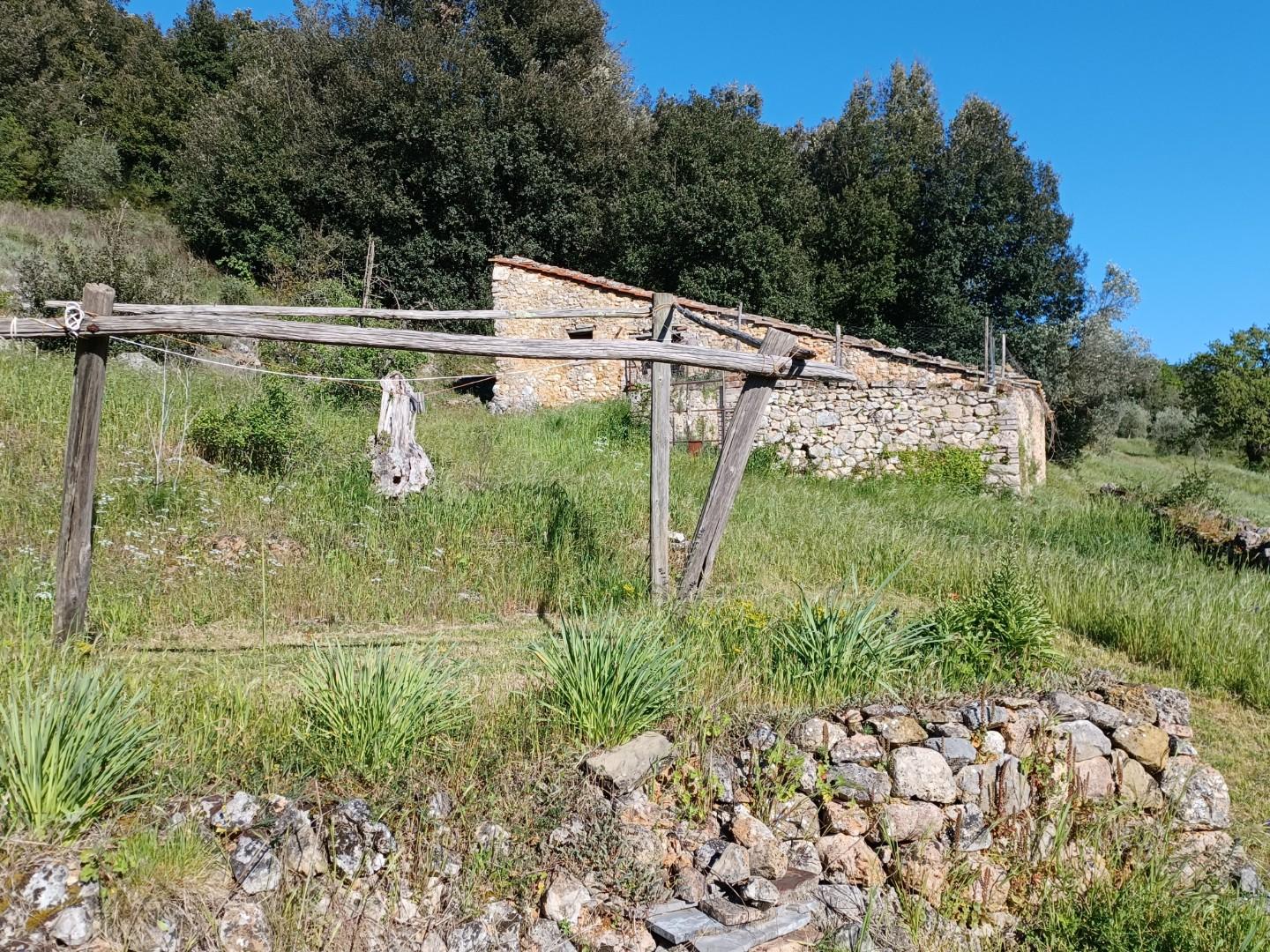 Foto annuncio 12