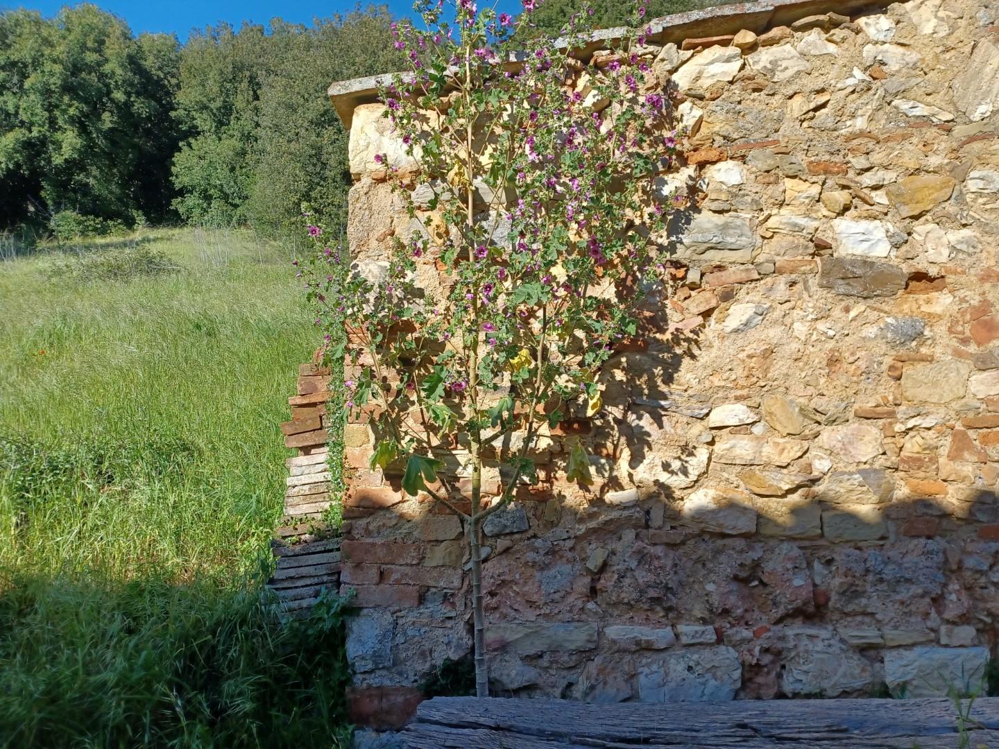 Foto annuncio 16
