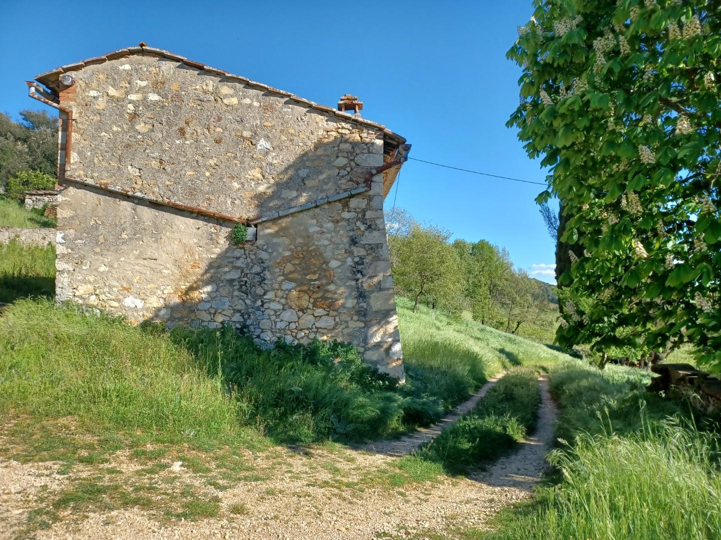 Foto annuncio 3