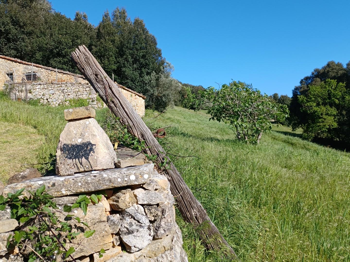 Foto annuncio 11