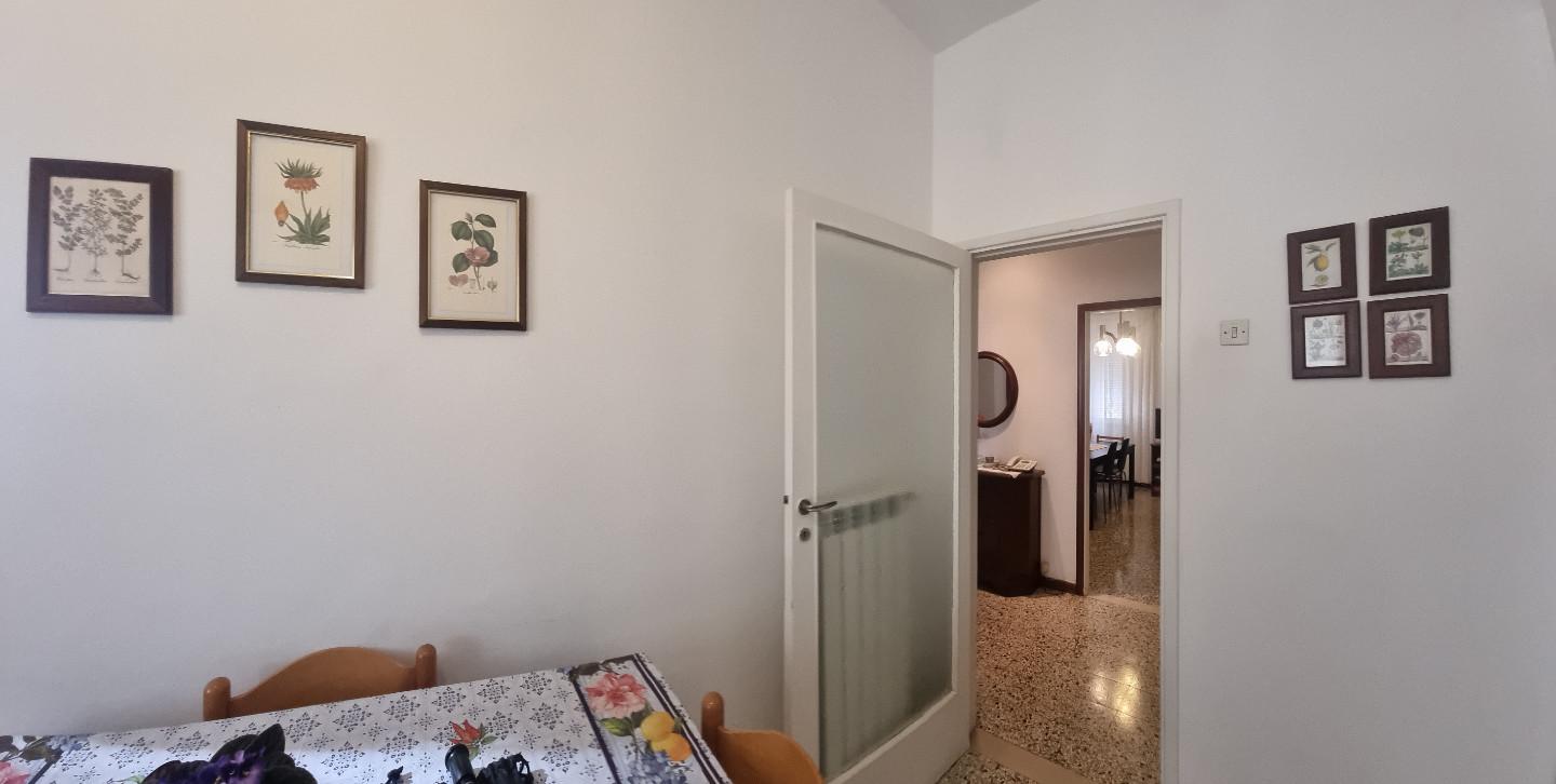 Immagine 7 di Appartamento in vendita  a Livorno