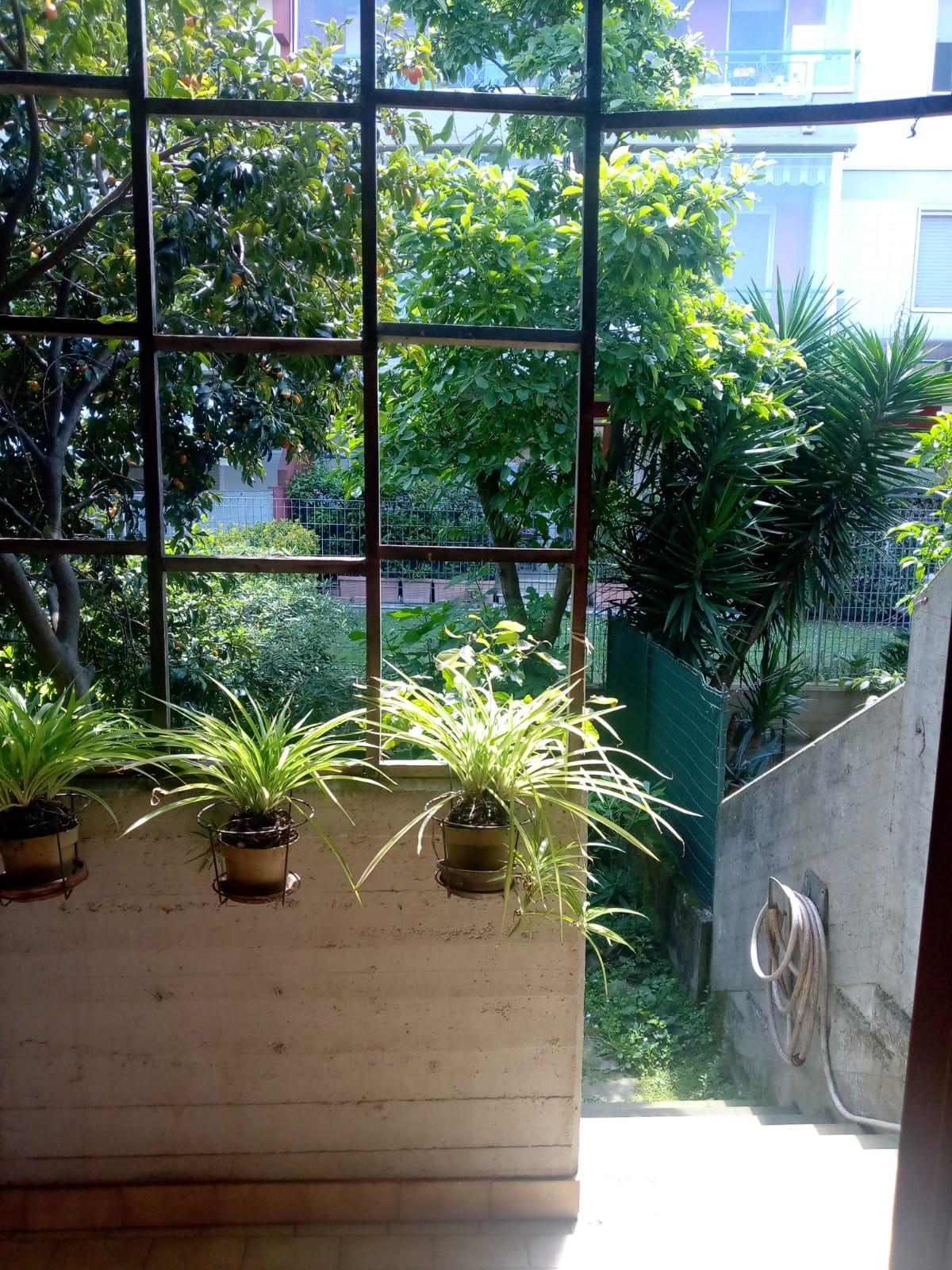 Immagine 25 di Villetta a schiera in vendita  a Carrara