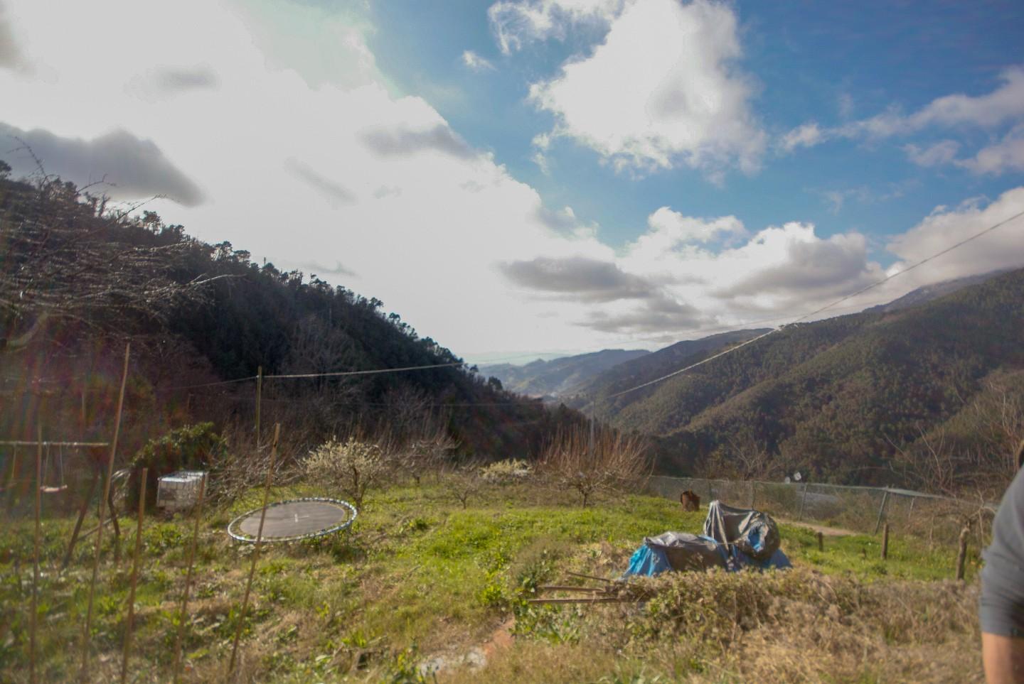 Foto annuncio 5