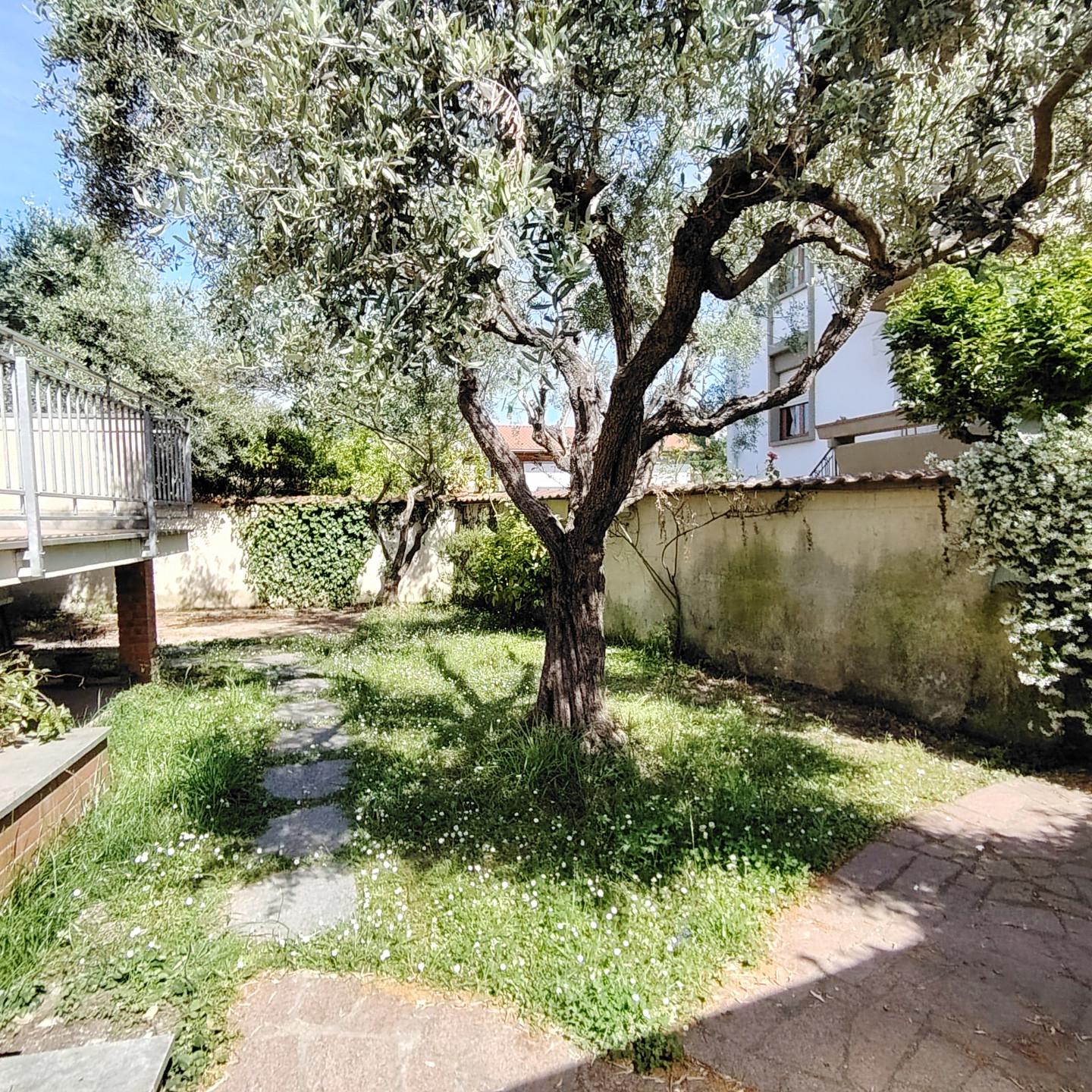 Immagine 20 di Casa trifamiliare in vendita  a Carrara