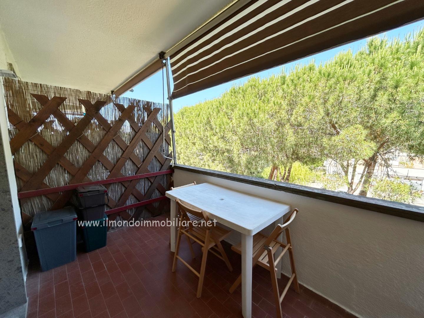 Immagine 2 di Appartamento in vendita  a Rosignano Marittimo