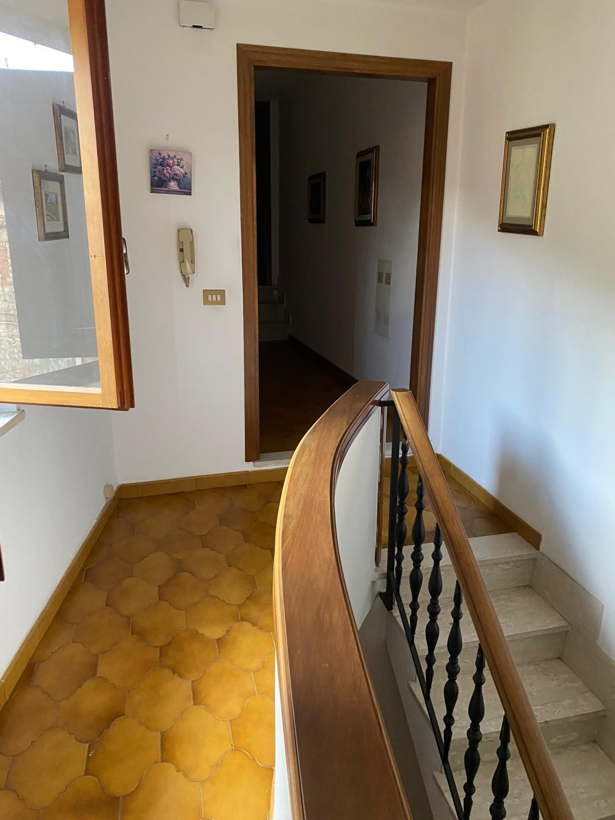 Immagine 5 di Terratetto in vendita  a Buti