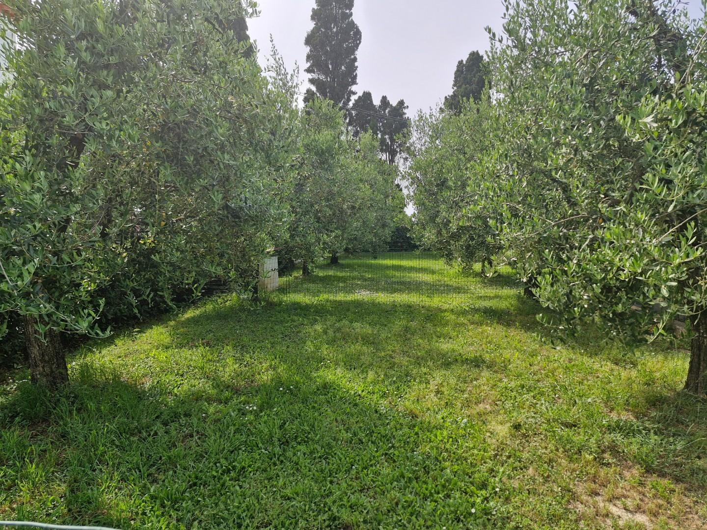 Foto annuncio 19