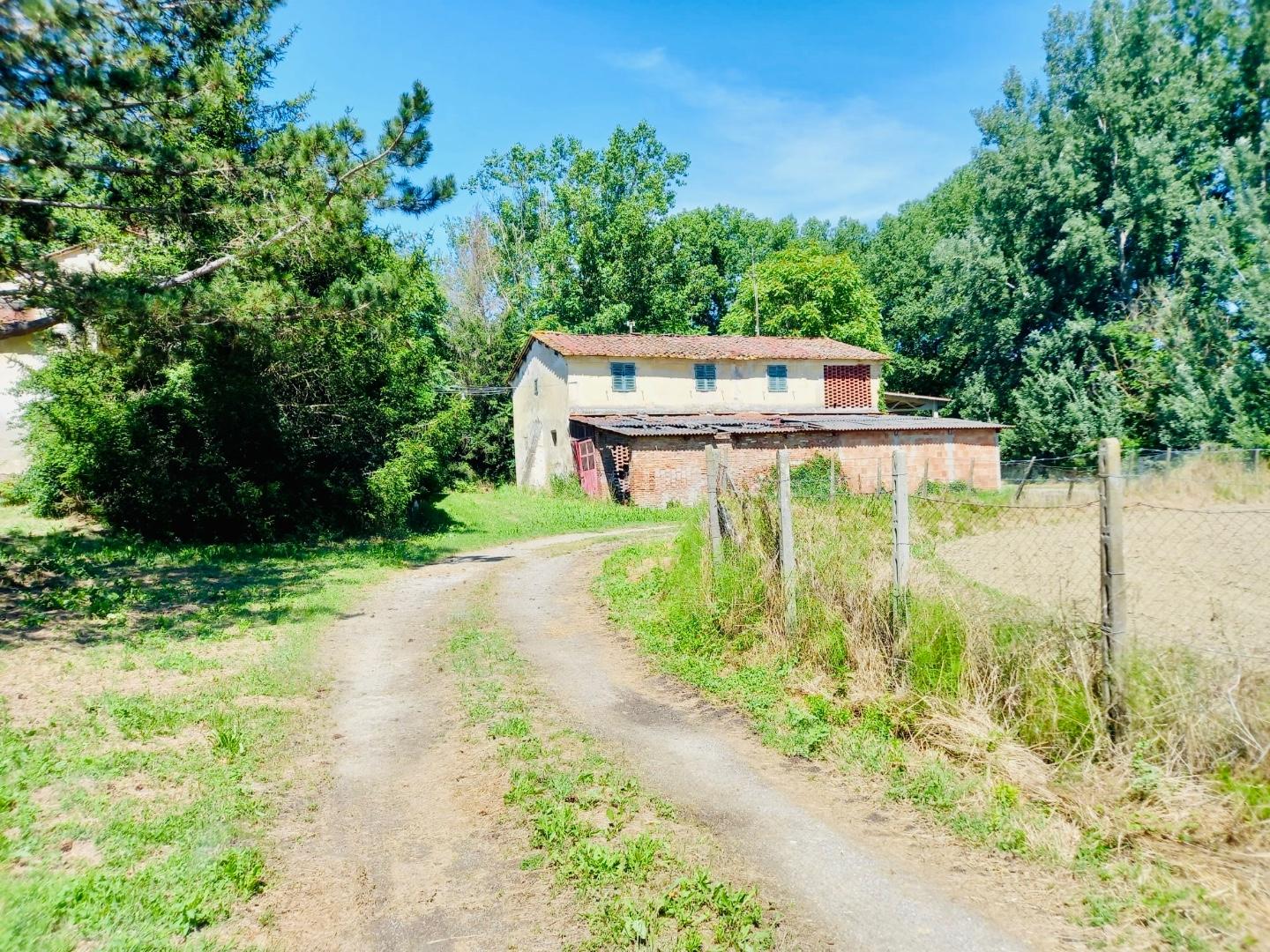Immagine 3 di Casa colonica in vendita  a Castelfiorentino