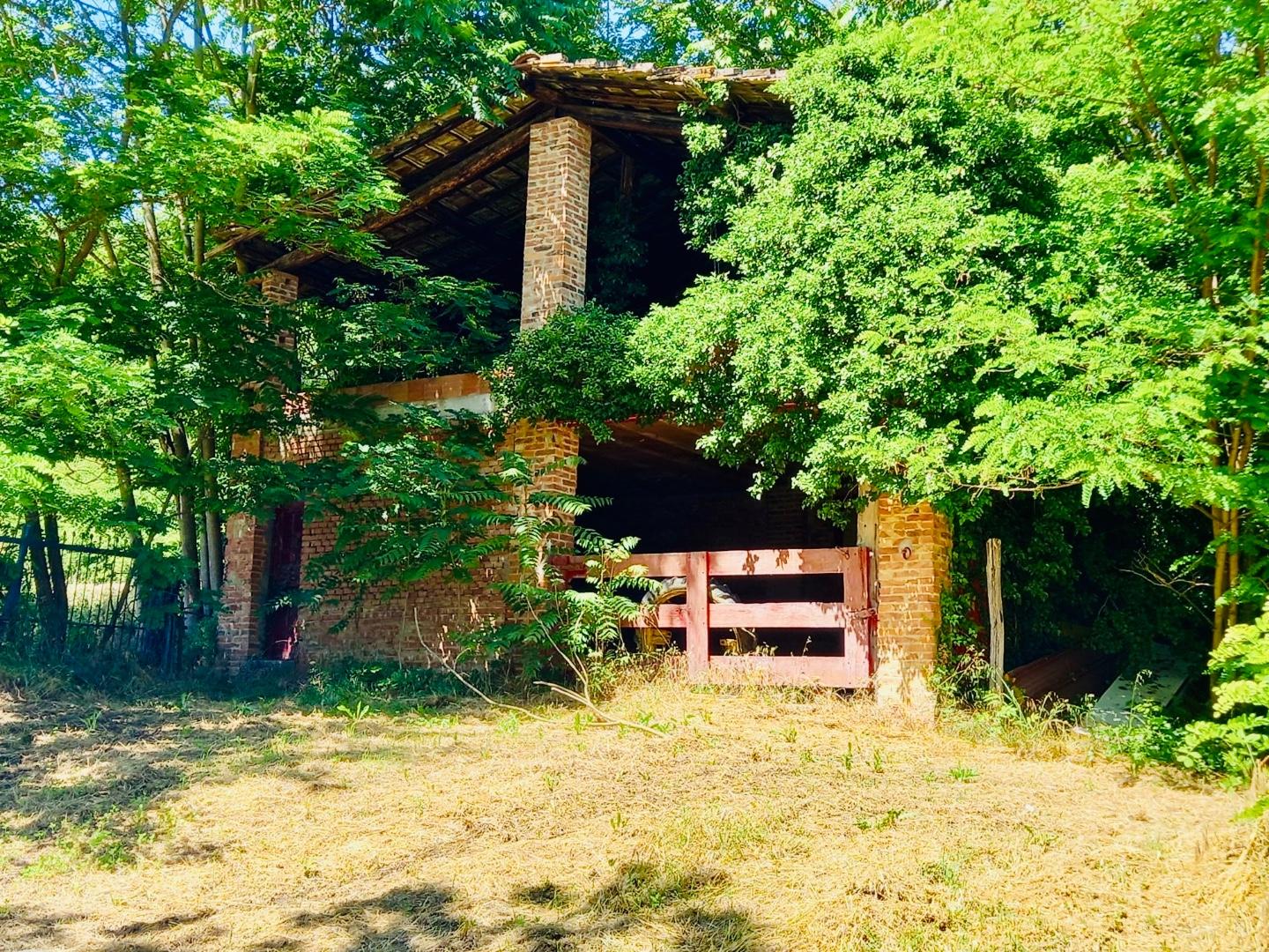 Immagine 8 di Casa colonica in vendita  a Castelfiorentino