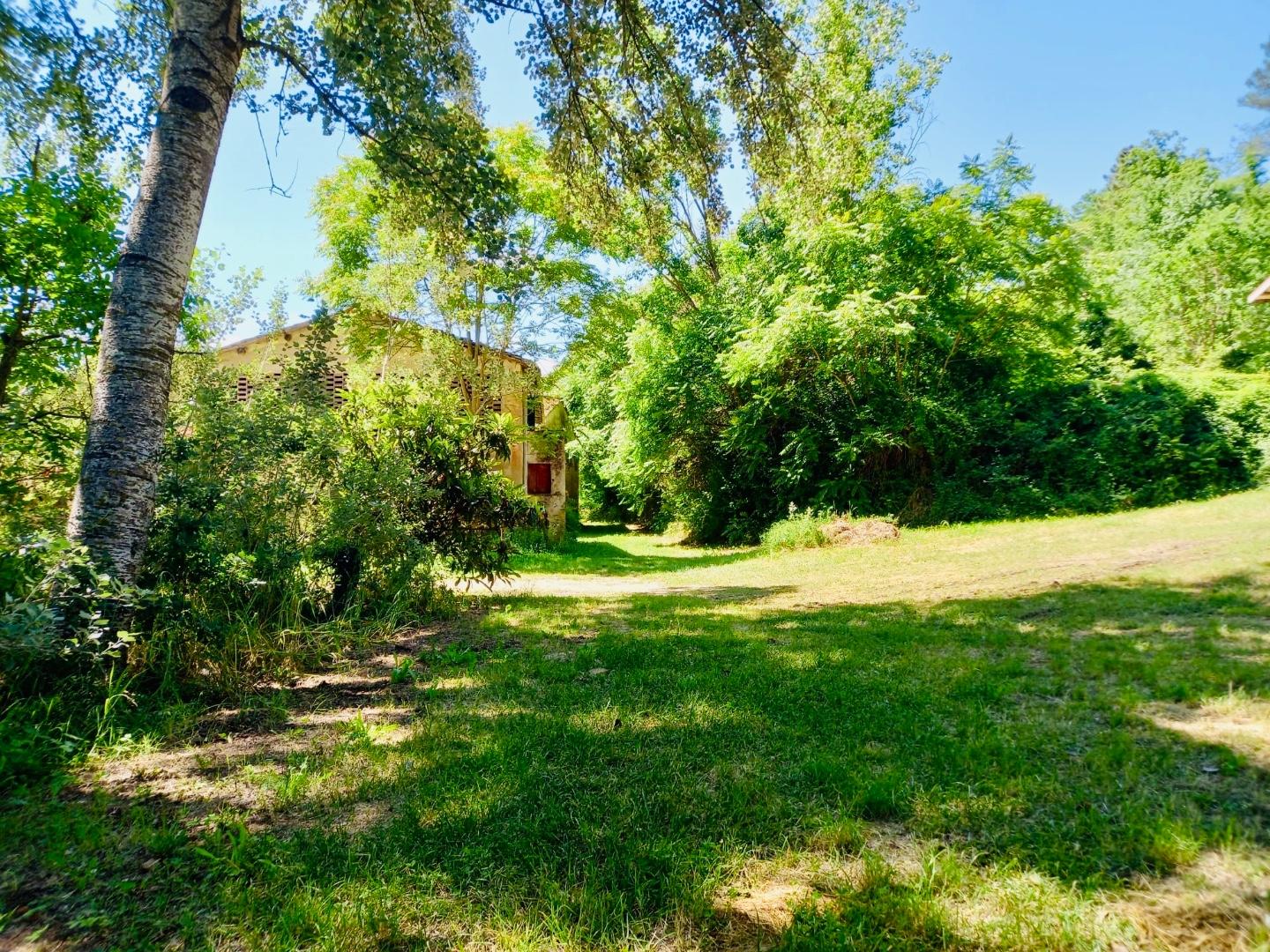 Immagine 7 di Casa colonica in vendita  a Castelfiorentino