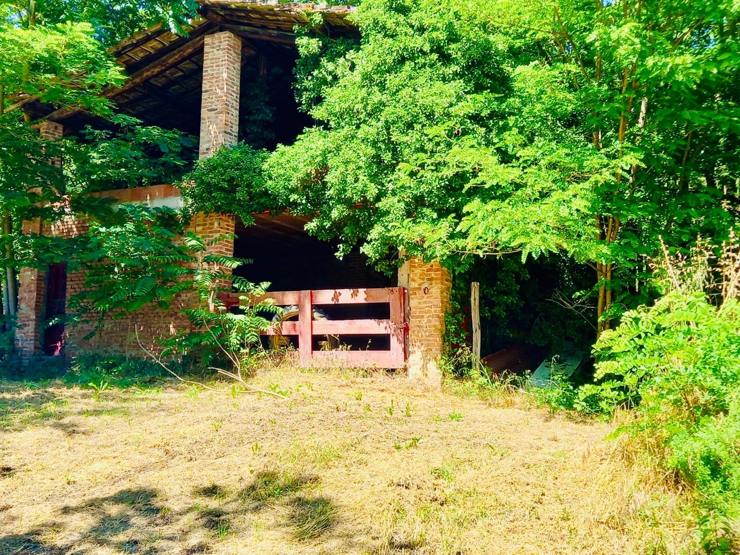 Immagine 9 di Casa colonica in vendita  a Castelfiorentino
