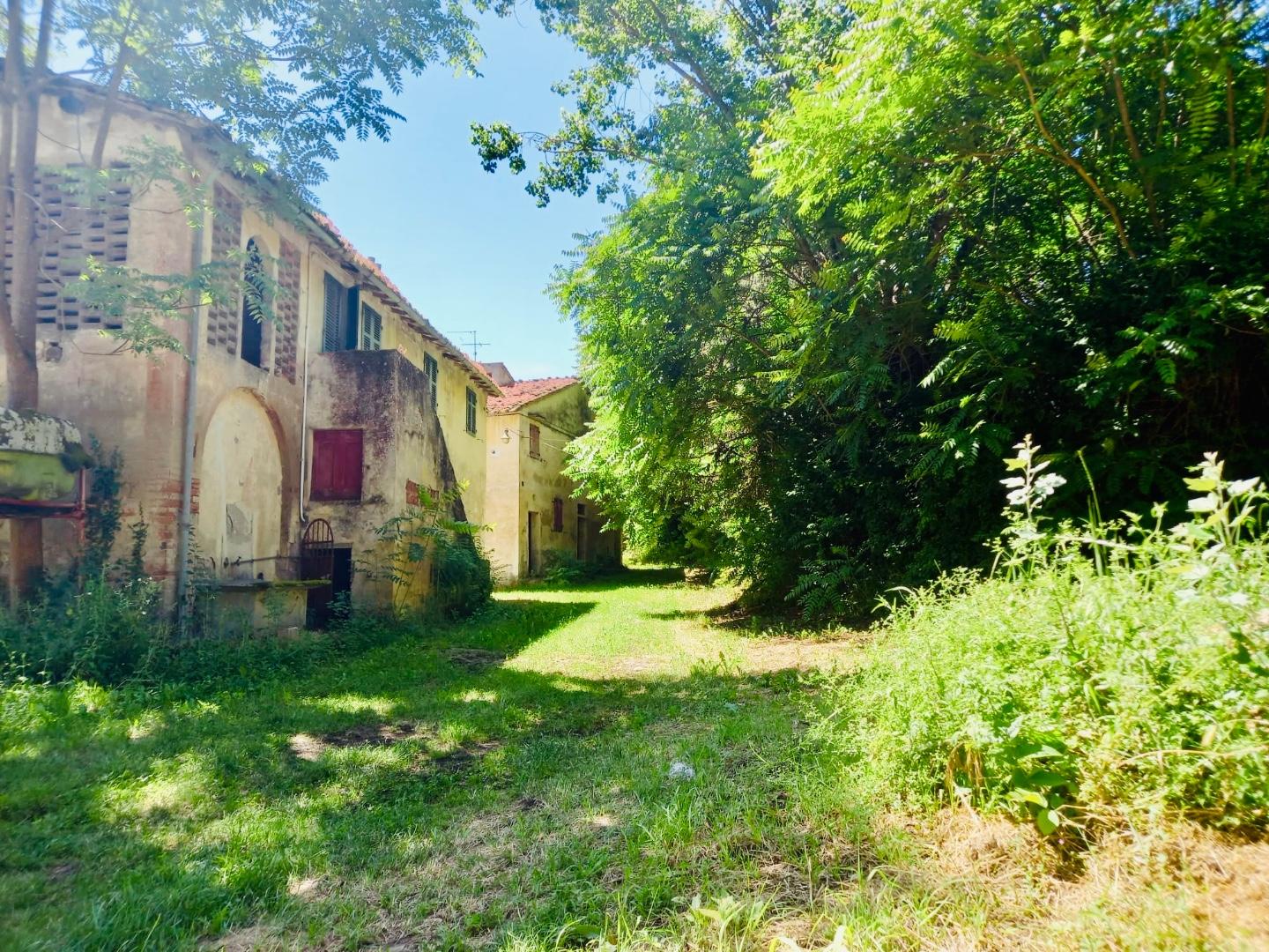 Immagine 6 di Casa colonica in vendita  a Castelfiorentino