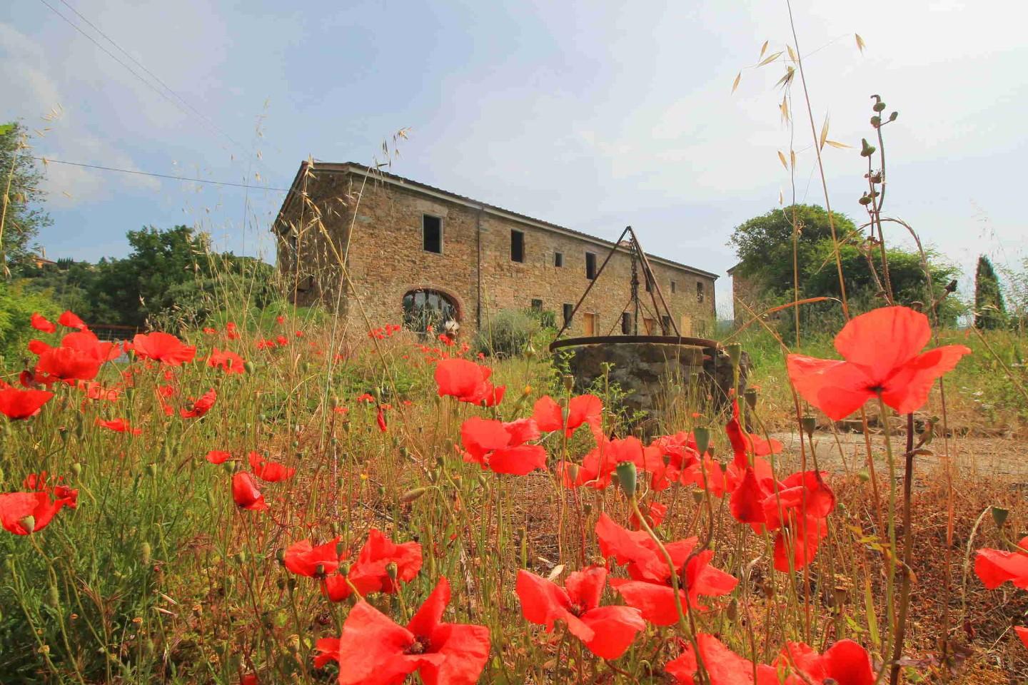 Immagine 28 di Casa colonica in vendita  a Monsummano Terme