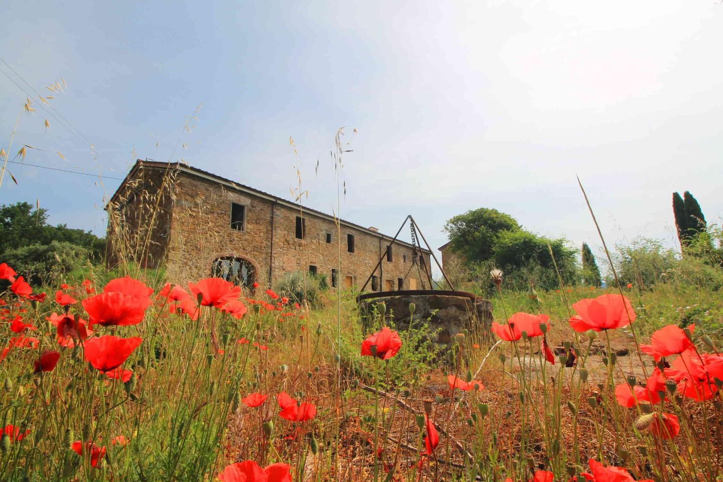 Immagine 7 di Casa colonica in vendita  a Monsummano Terme