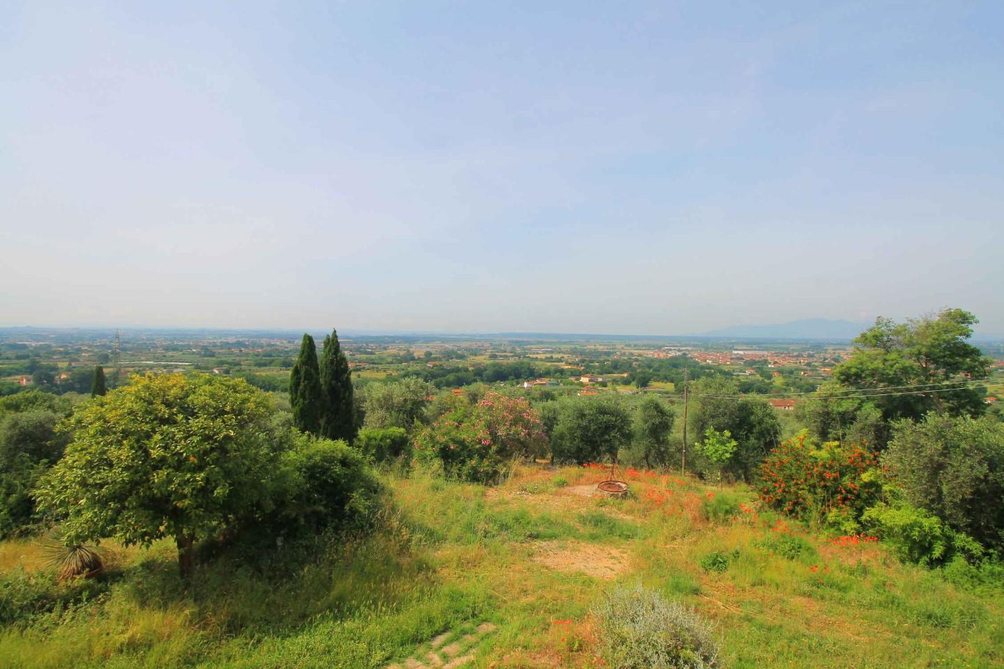 Immagine 6 di Casa colonica in vendita  a Monsummano Terme