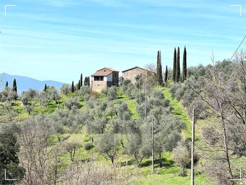 Immagine 4 di Casa colonica in vendita  a Monsummano Terme