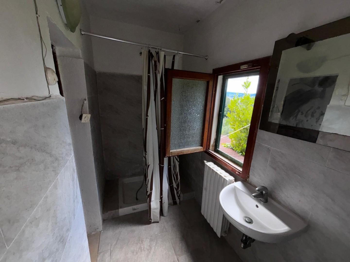 Immagine 15 di Terratetto in vendita  a Peccioli