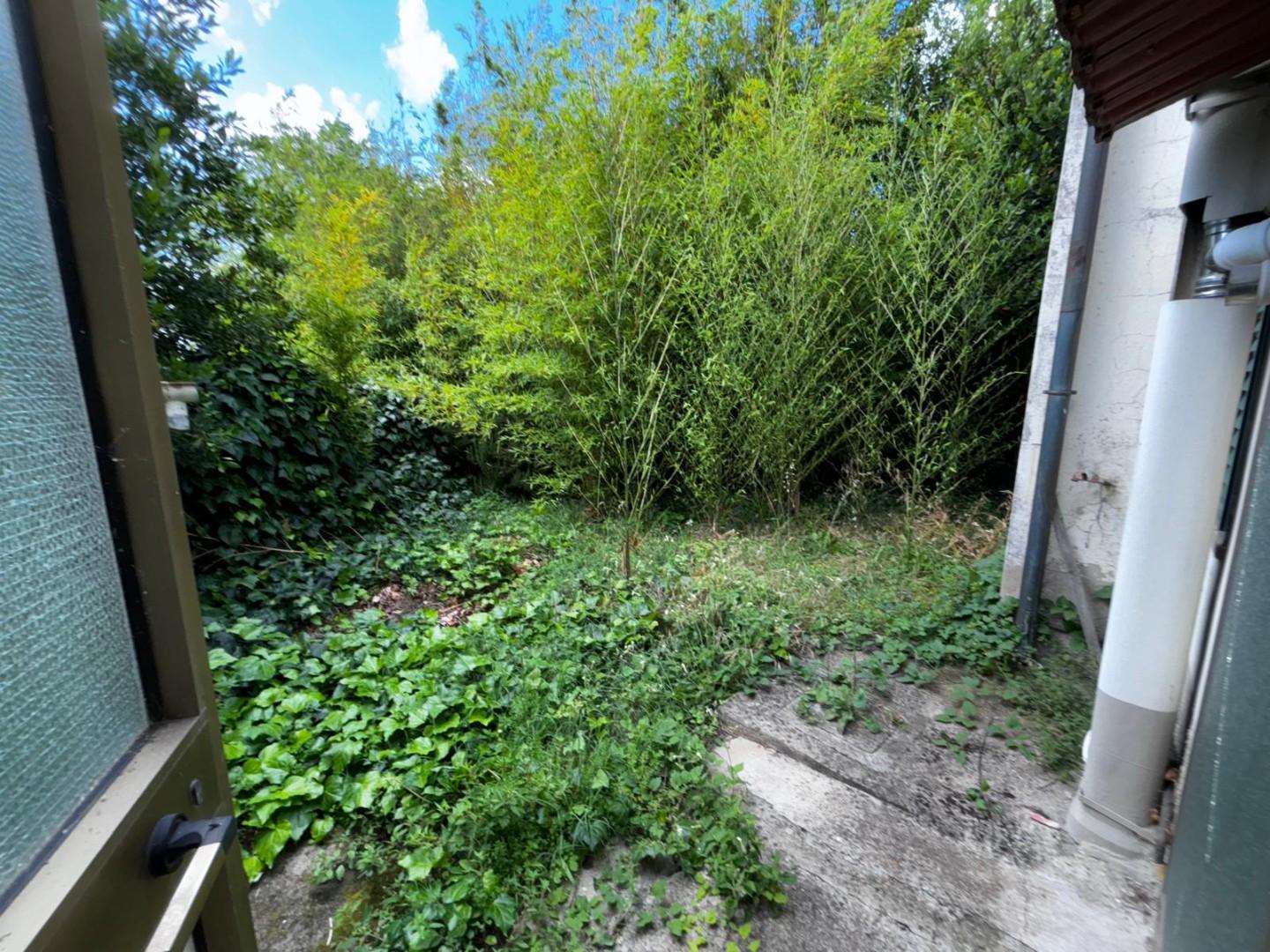 Immagine 1 di Terratetto in vendita  a Peccioli