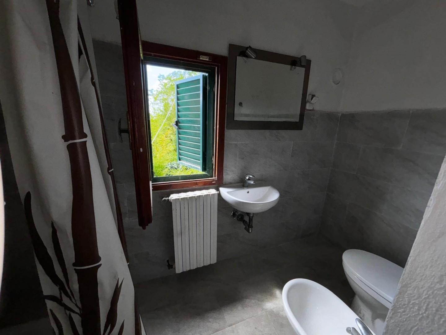 Immagine 47 di Terratetto in vendita  a Peccioli