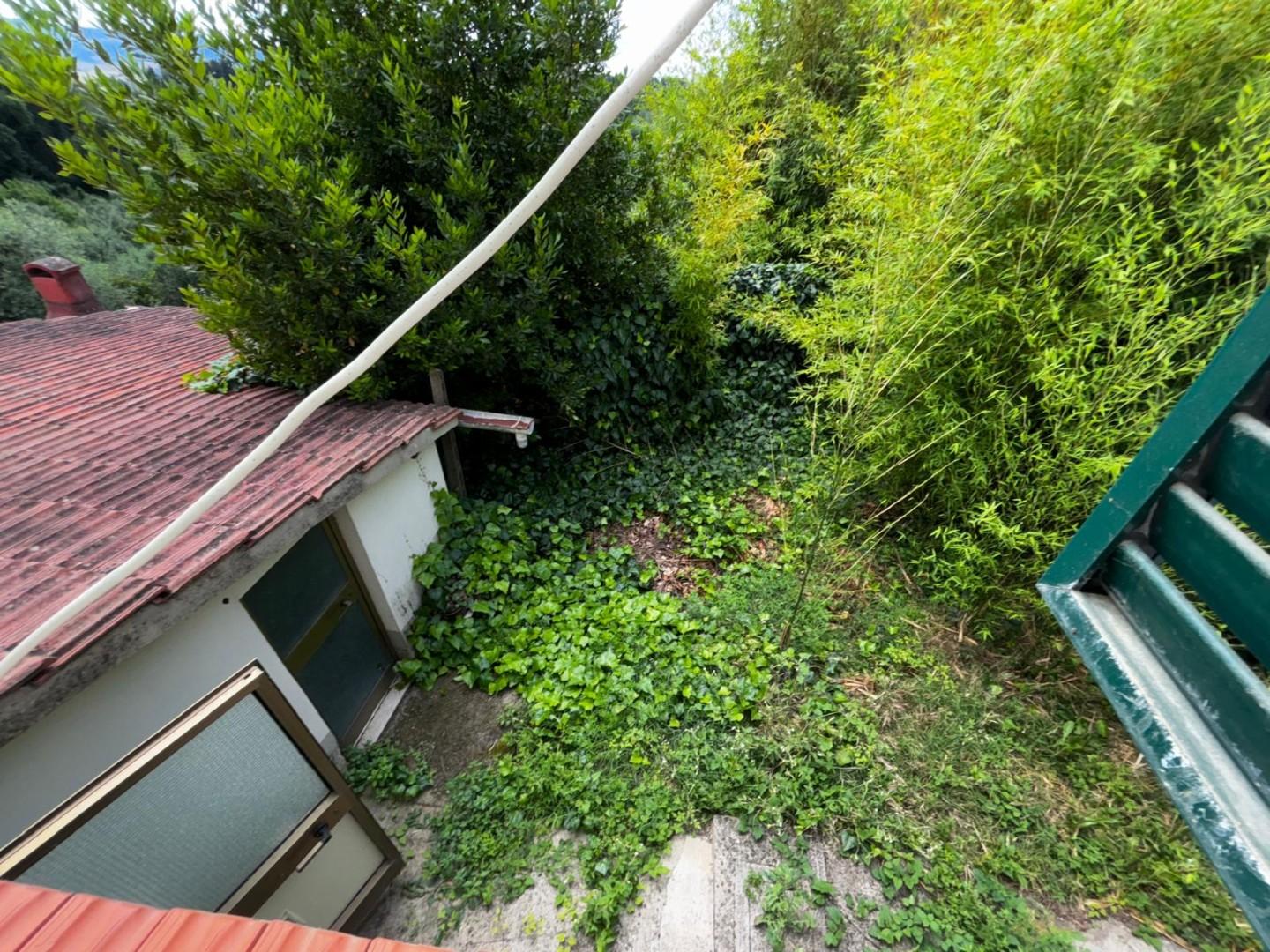 Immagine 48 di Terratetto in vendita  a Peccioli