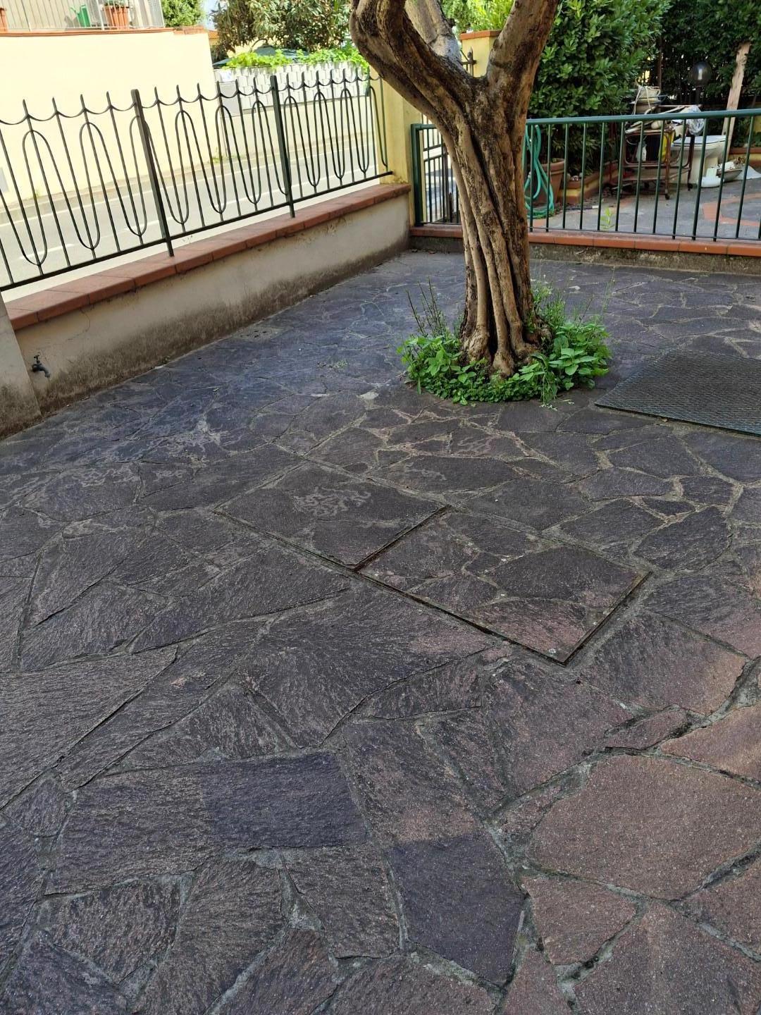 Immagine 2 di Terratetto in vendita  a Capraia E Limite