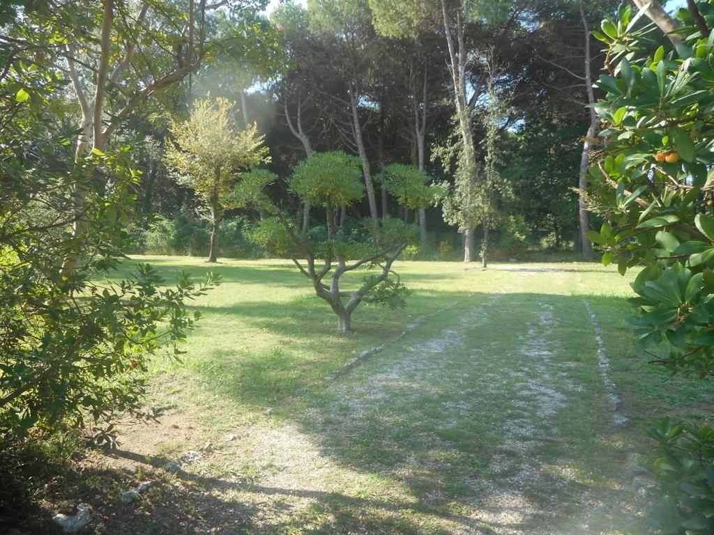 Foto annuncio 23