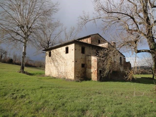 Foto annuncio 9