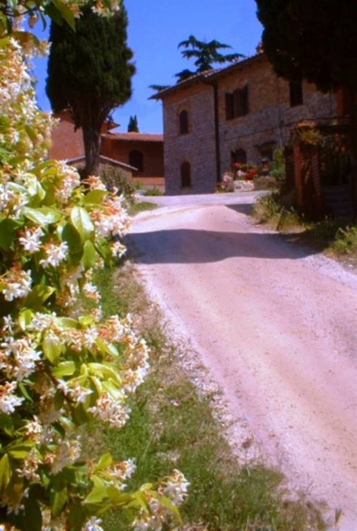 Foto annuncio 18