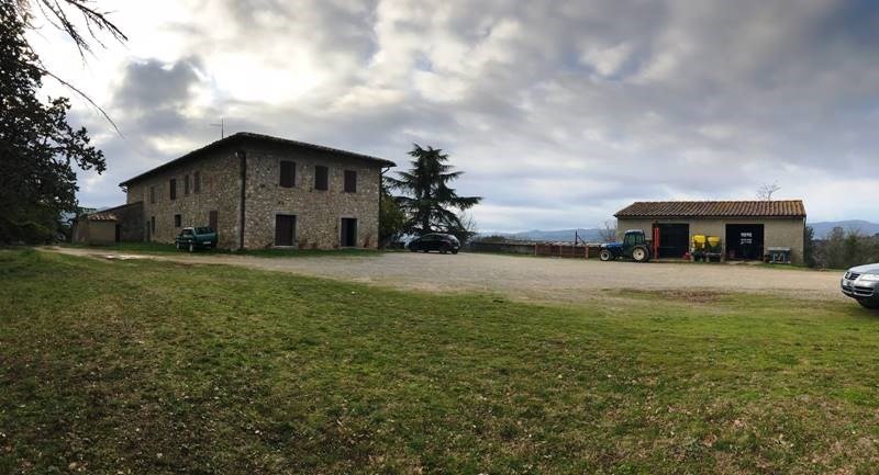 Foto annuncio 10