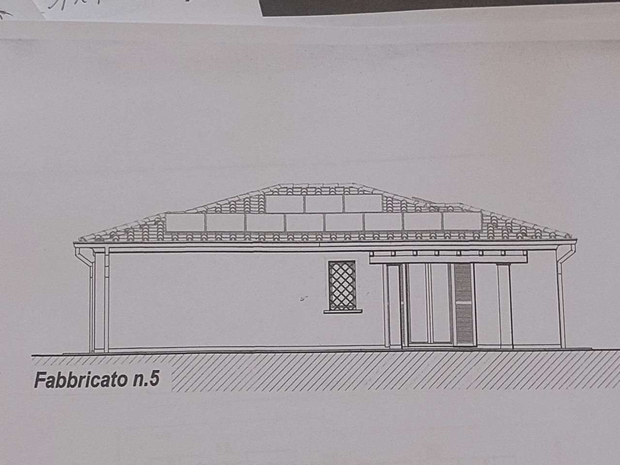 Foto annuncio 4