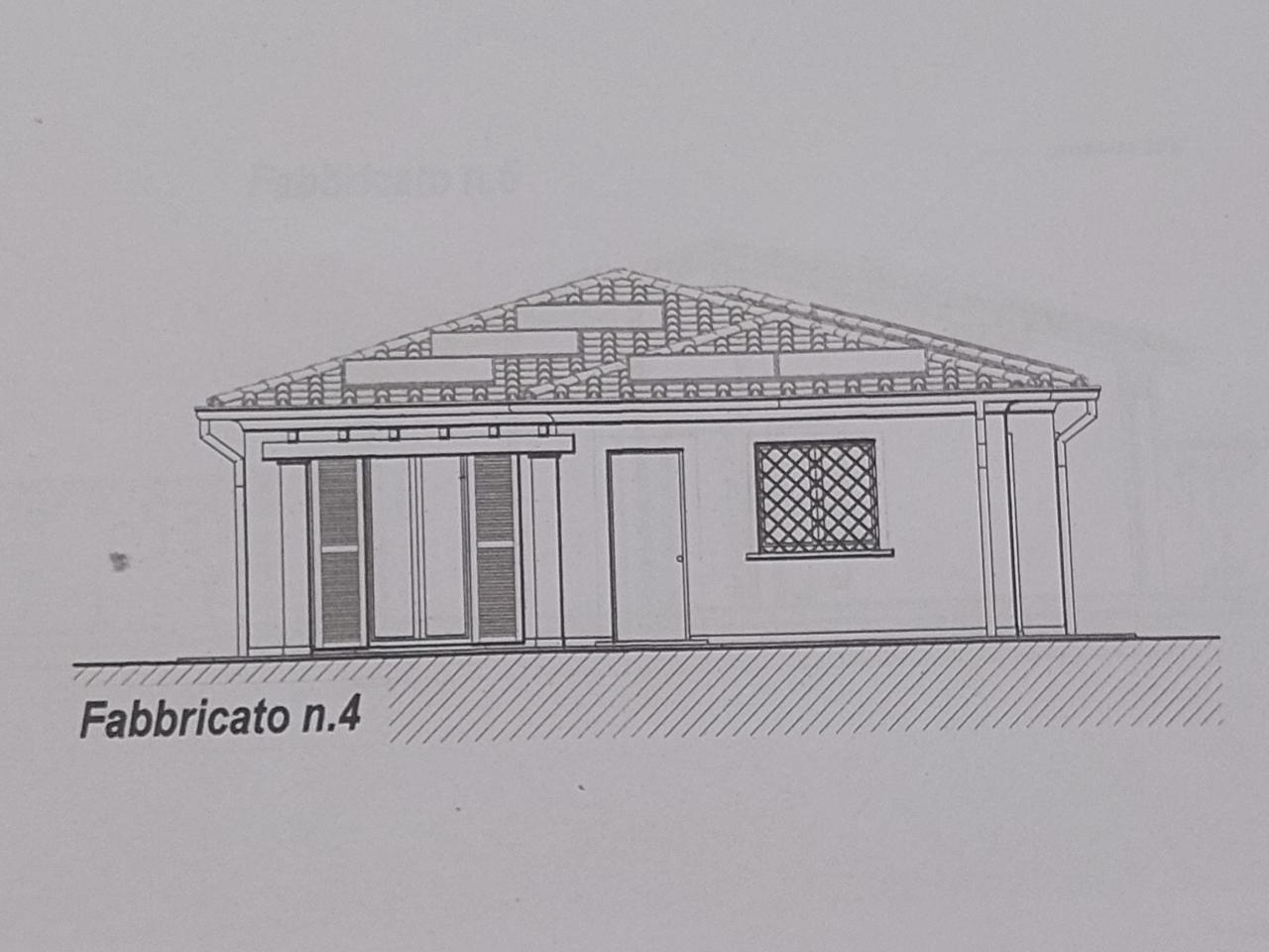 Foto annuncio 7