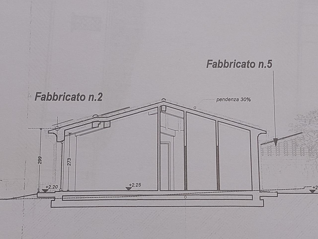 Foto annuncio 4
