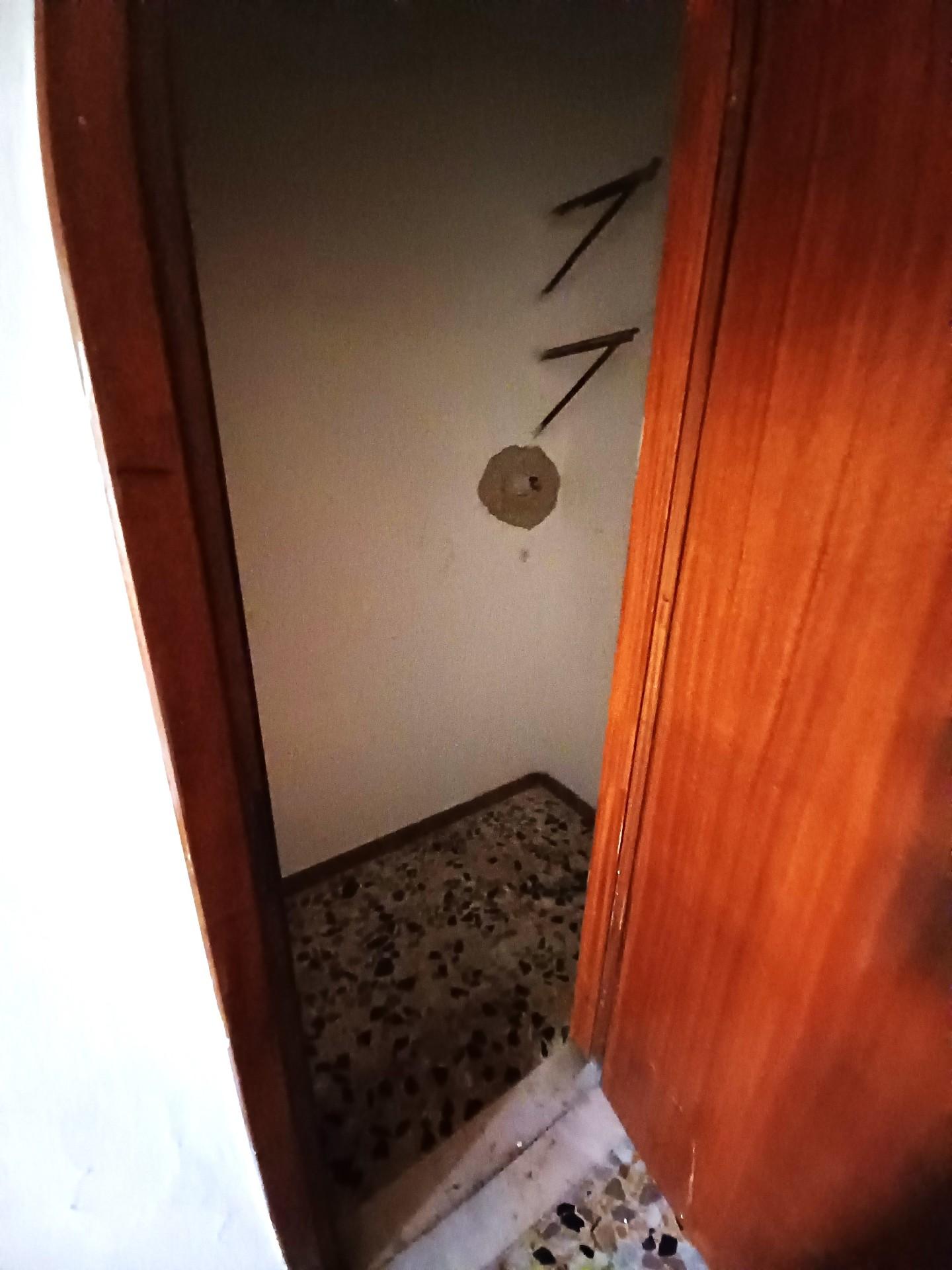 Foto annuncio 21
