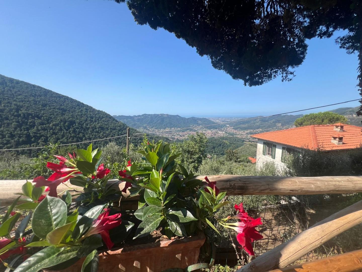 Foto annuncio 1