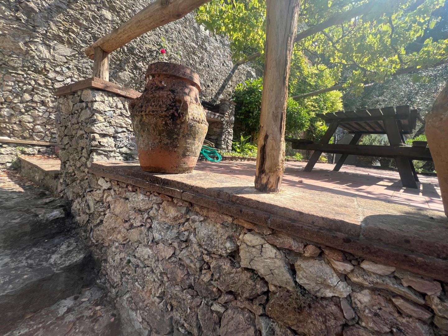 Foto annuncio 11