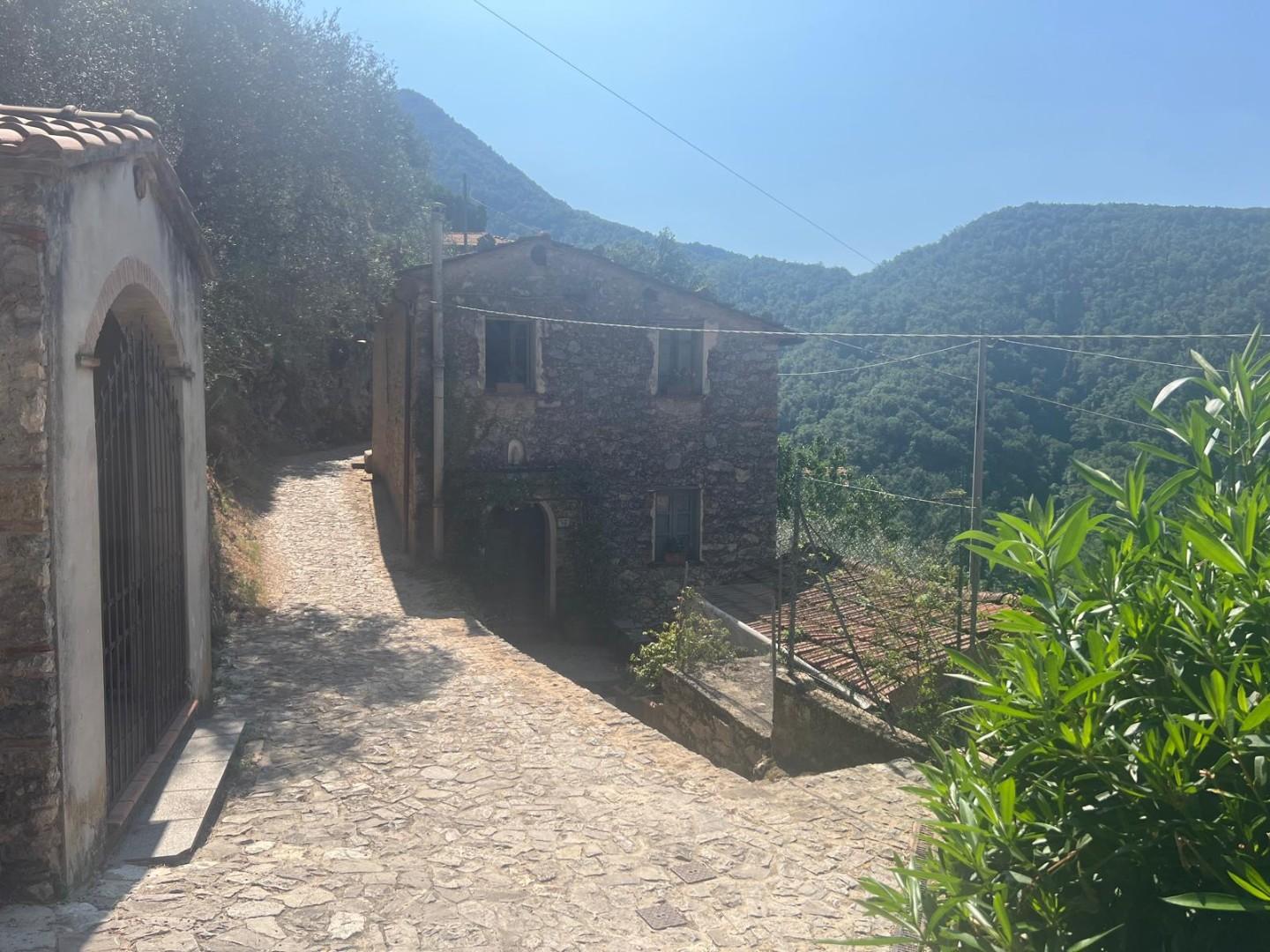 Foto annuncio 28