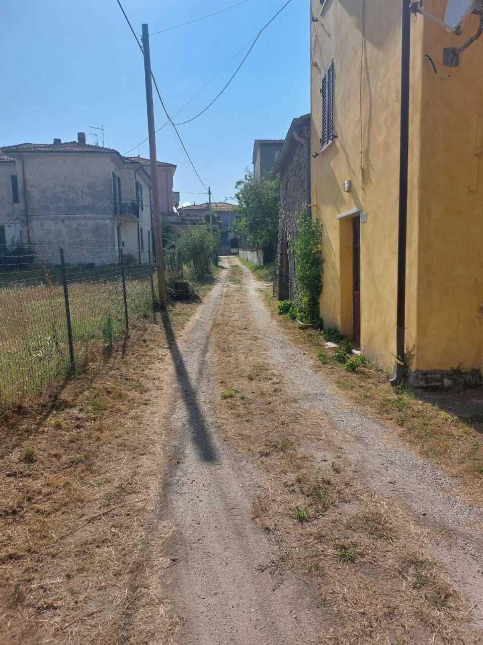 Foto annuncio 7