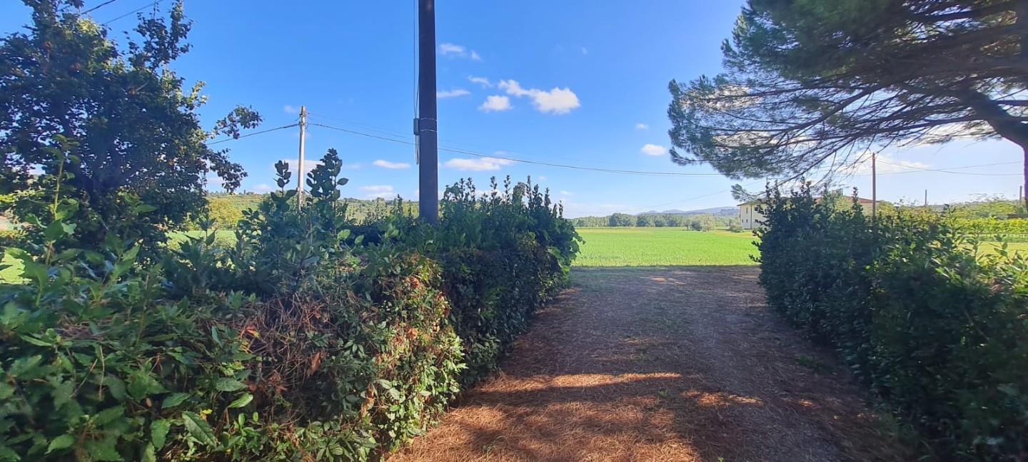 Immagine 31 di Casa indipendente in vendita  a Terricciola