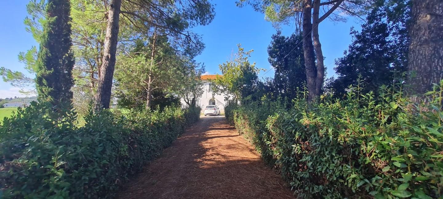 Immagine 29 di Casa indipendente in vendita  a Terricciola