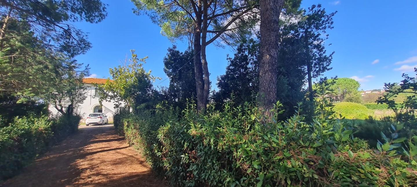 Immagine 25 di Casa indipendente in vendita  a Terricciola