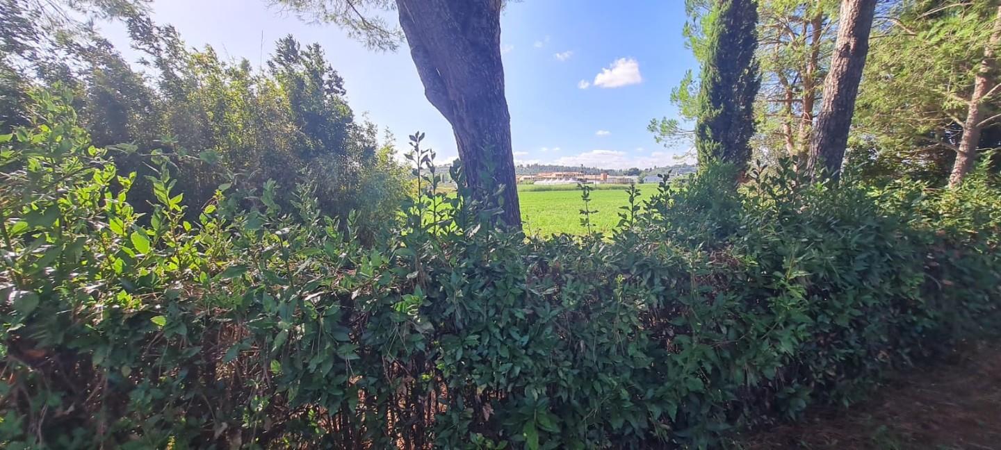 Immagine 21 di Casa indipendente in vendita  a Terricciola