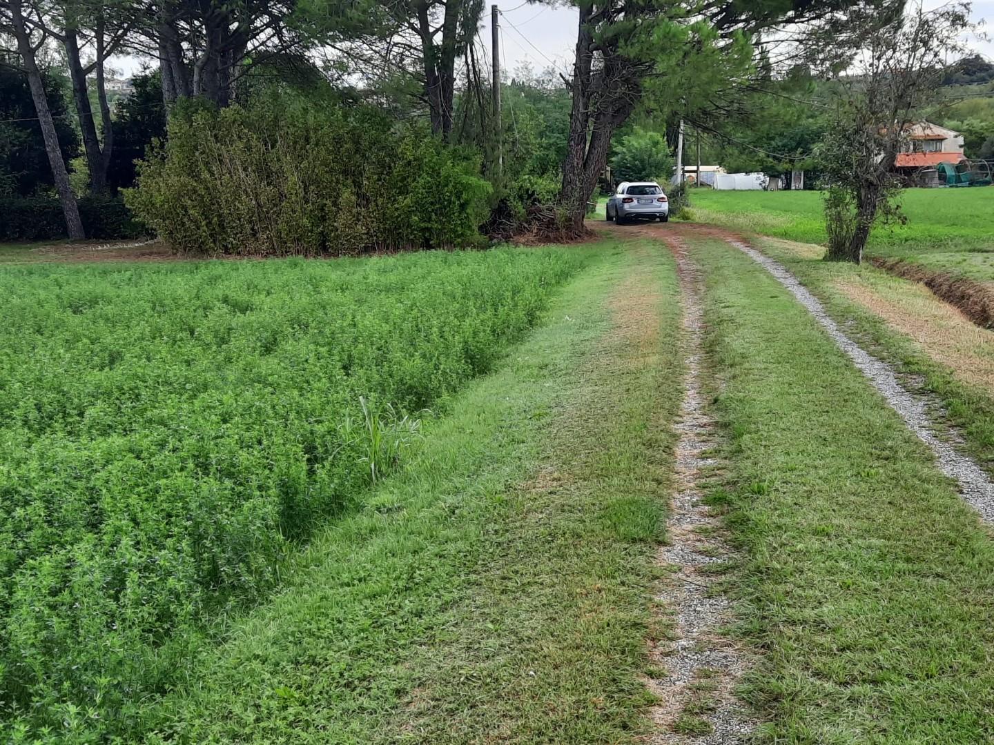 Immagine 14 di Casa indipendente in vendita  a Terricciola
