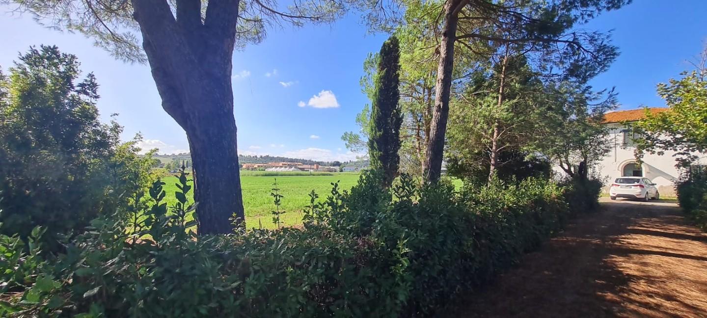 Immagine 18 di Casa indipendente in vendita  a Terricciola