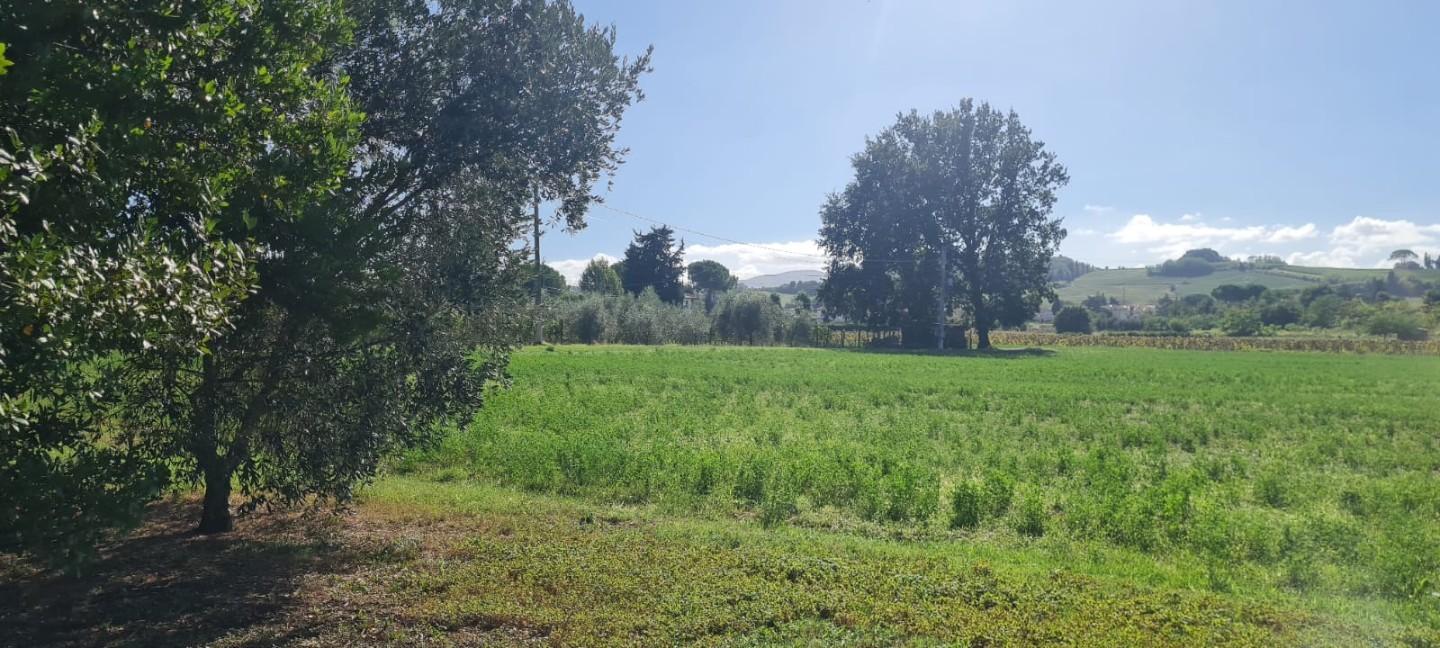 Immagine 30 di Casa indipendente in vendita  a Terricciola