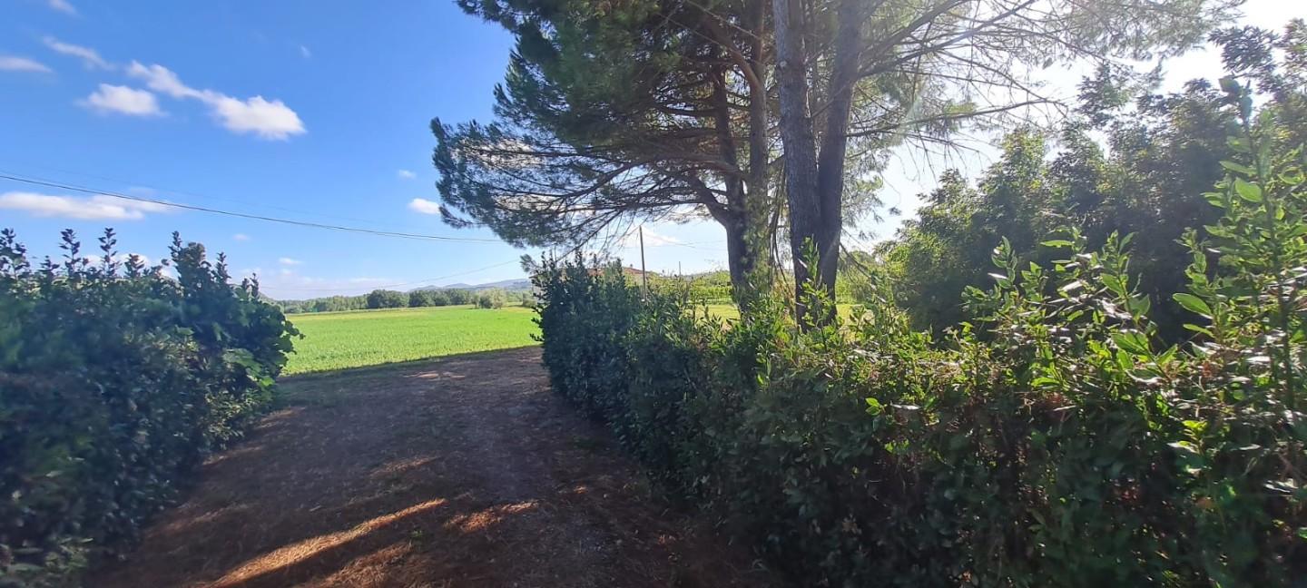 Immagine 27 di Casa indipendente in vendita  a Terricciola