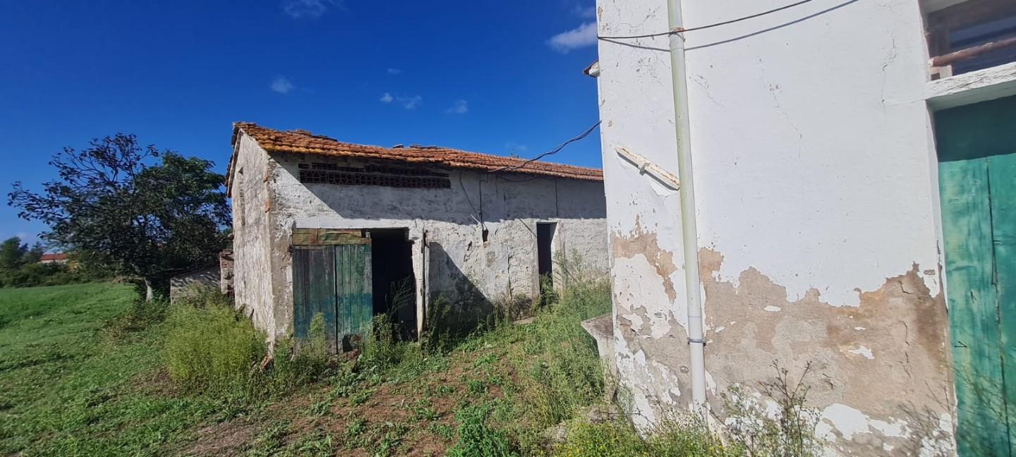 Immagine 20 di Casa indipendente in vendita  a Terricciola