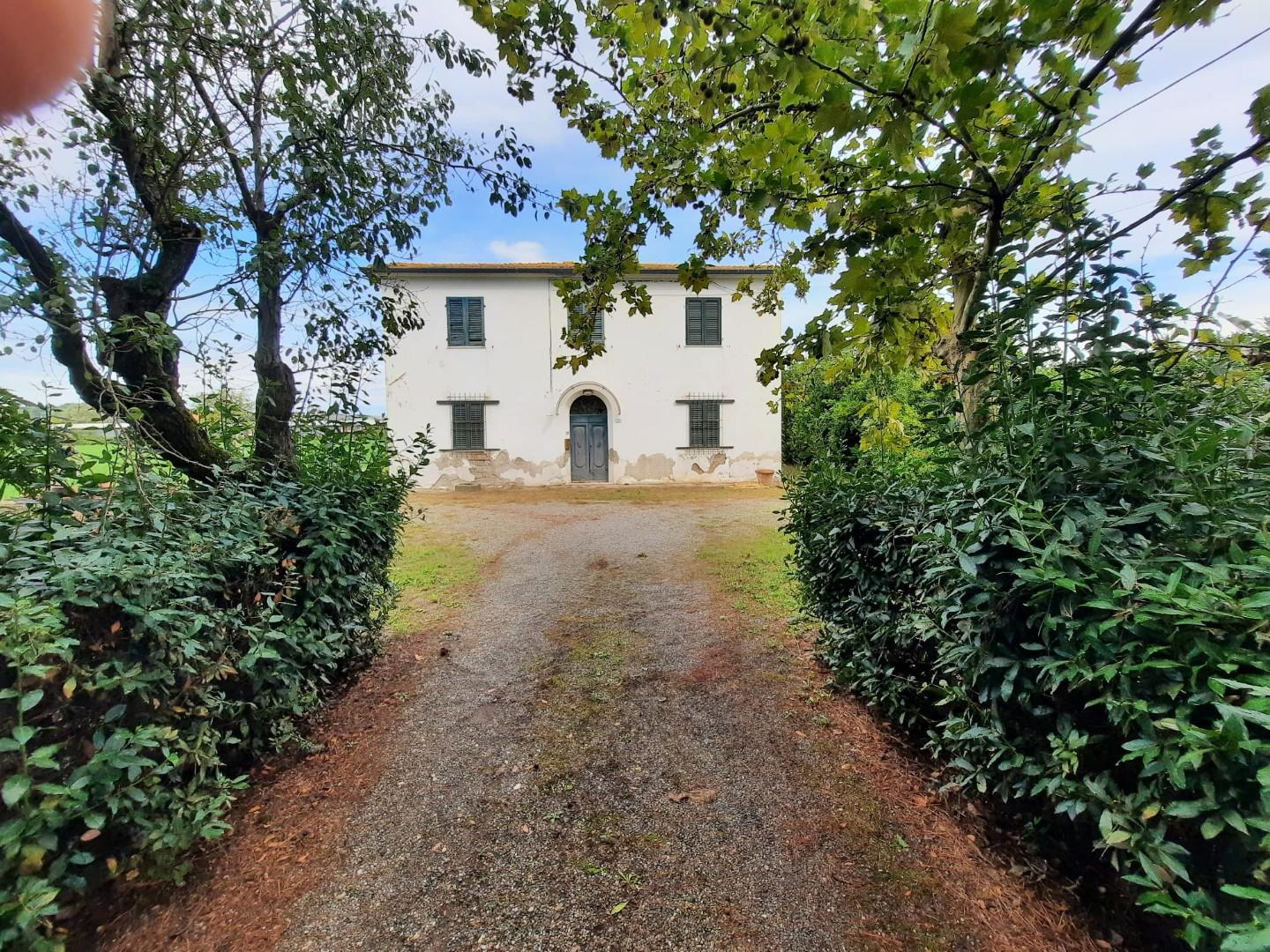 Immagine 3 di Casa indipendente in vendita  a Terricciola