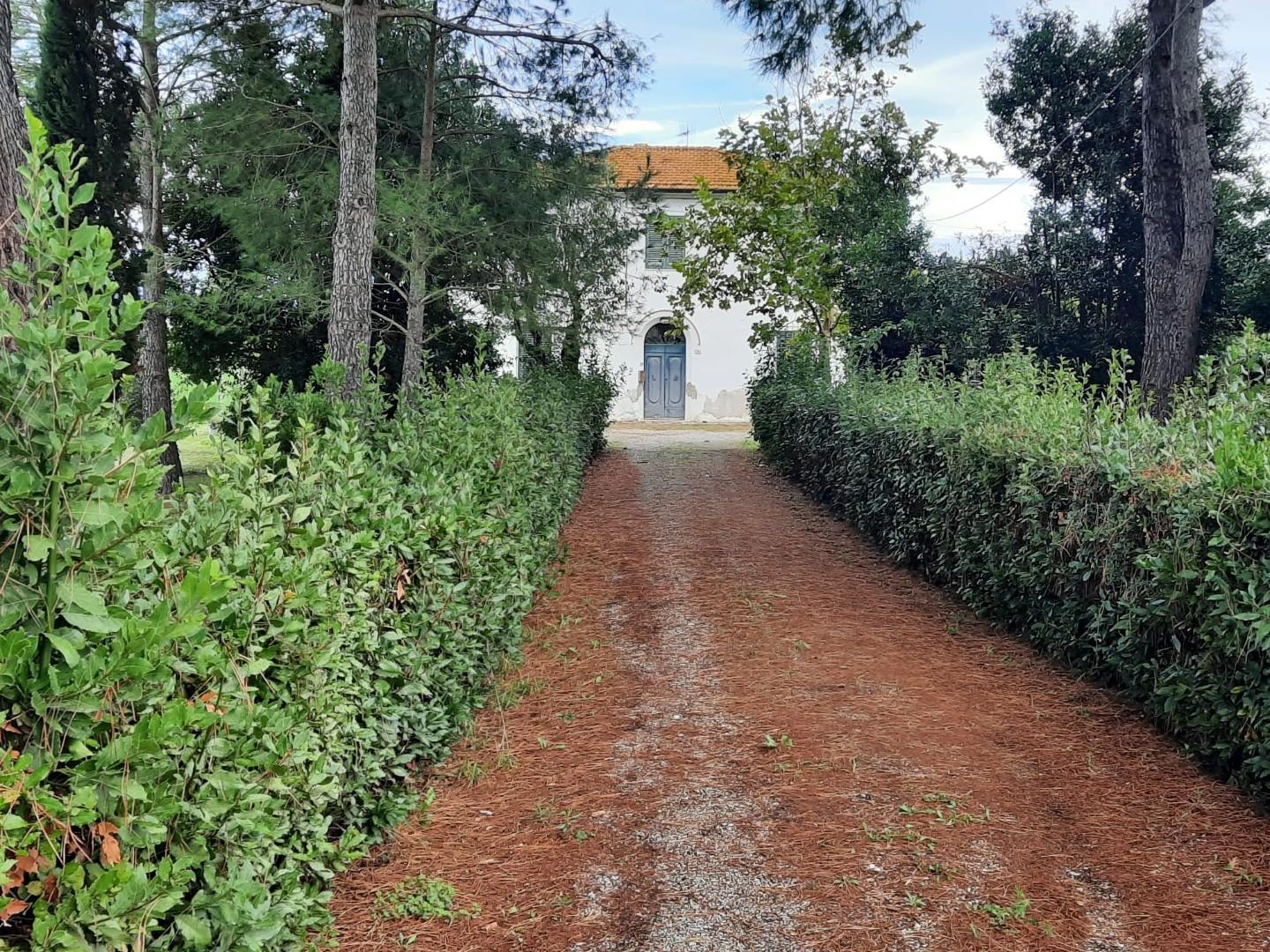 Immagine 2 di Casa indipendente in vendita  a Terricciola