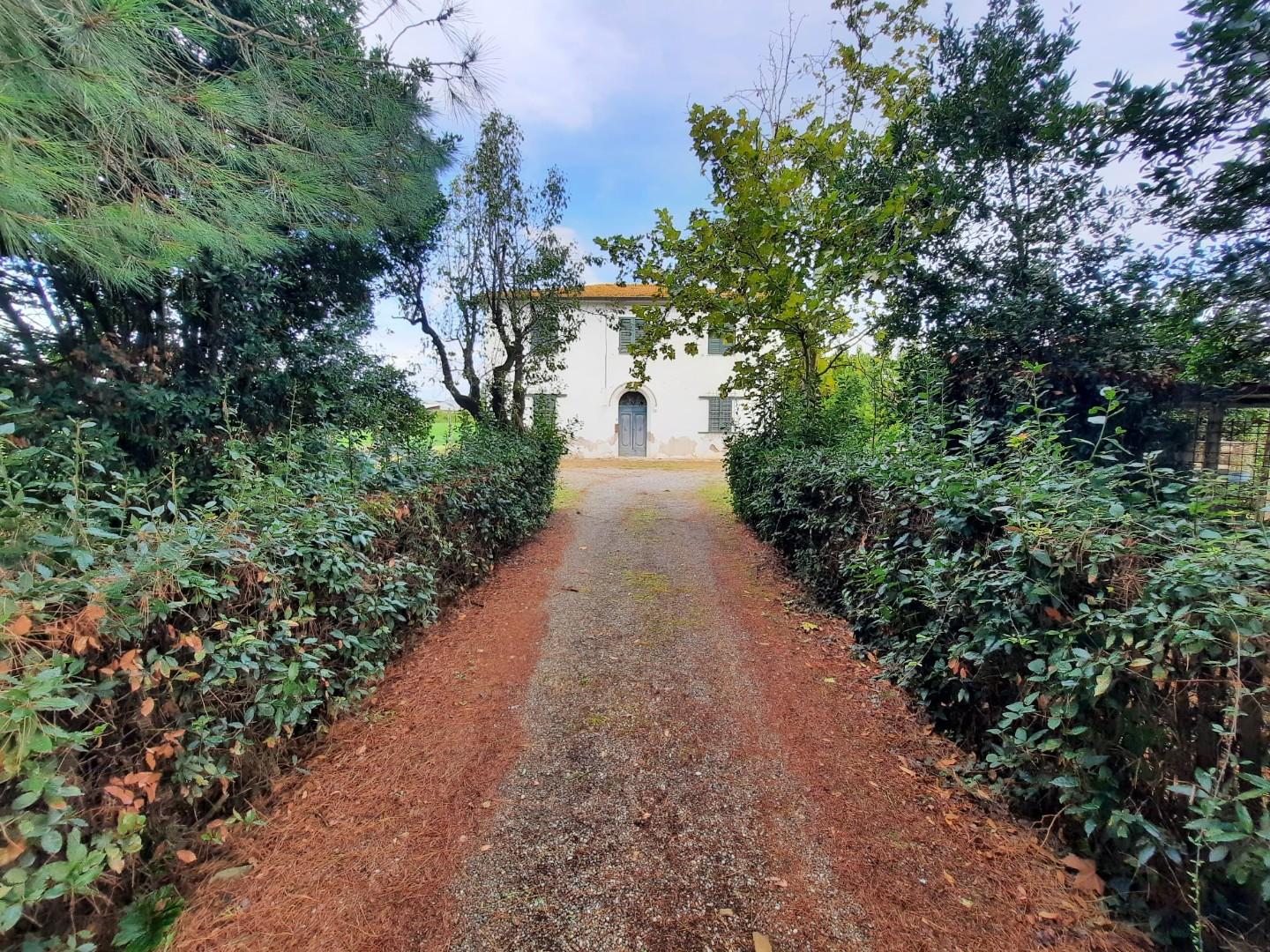 Immagine 13 di Casa indipendente in vendita  a Terricciola