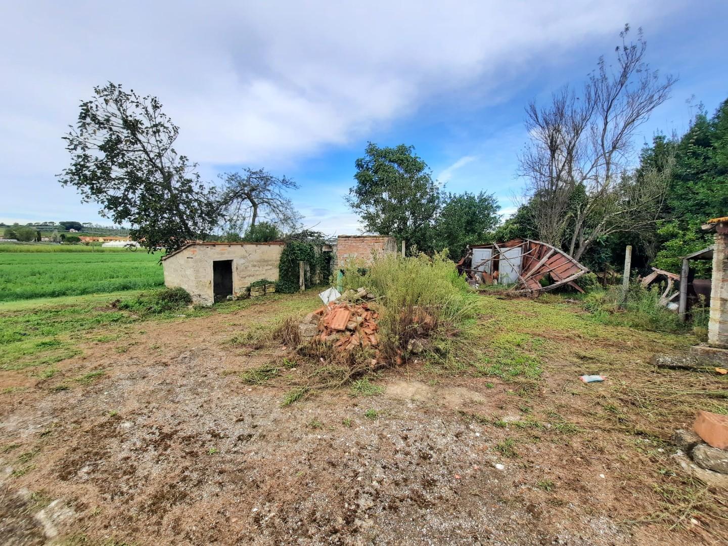 Immagine 16 di Casa indipendente in vendita  a Terricciola